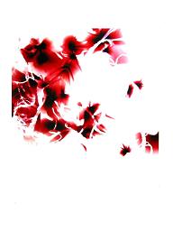 Wolfgang Tillmans Mental Picture#91
